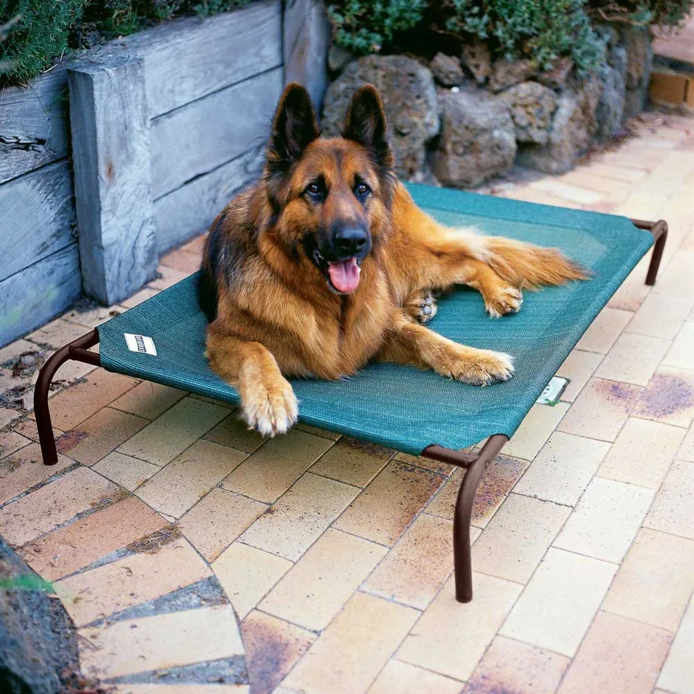 15% OFF: Coolaroo Elevated Knitted Fabric Pet Bed - Green