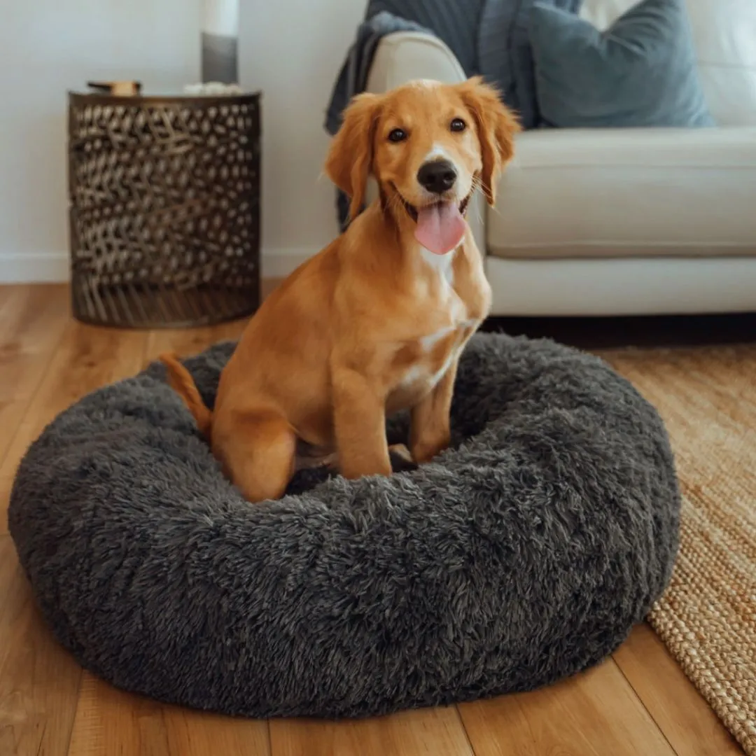 Calming Dog Bed   Spare Cover Bundle