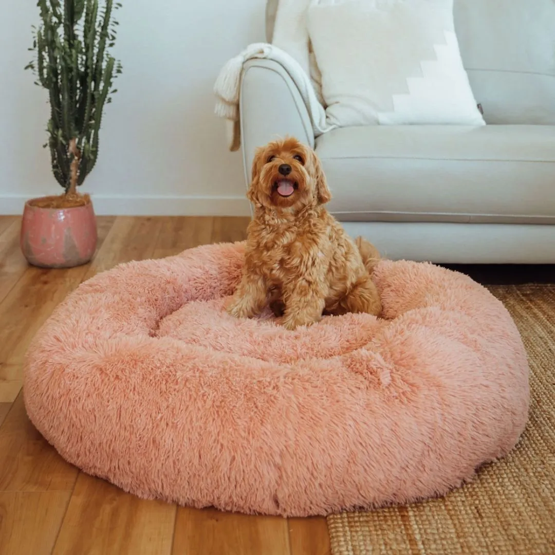 Calming Dog Bed   Spare Cover Bundle