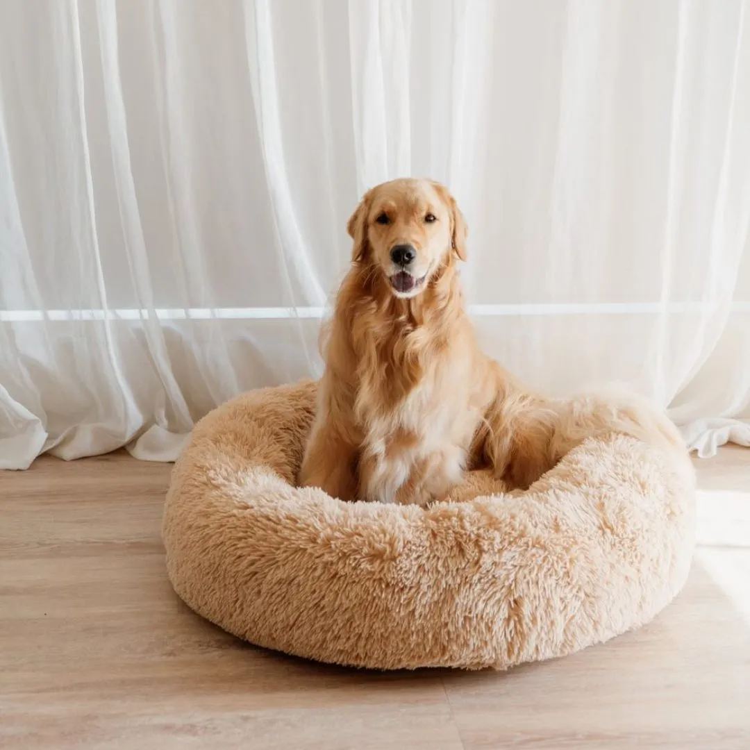 Calming Dog Bed   Spare Cover Bundle