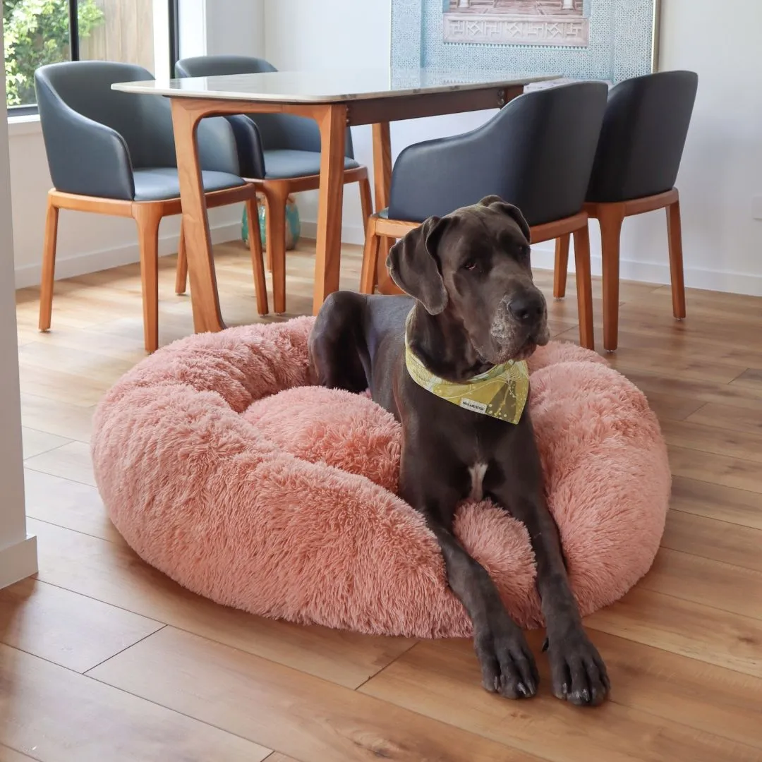 Calming Dog Bed   Spare Cover Bundle