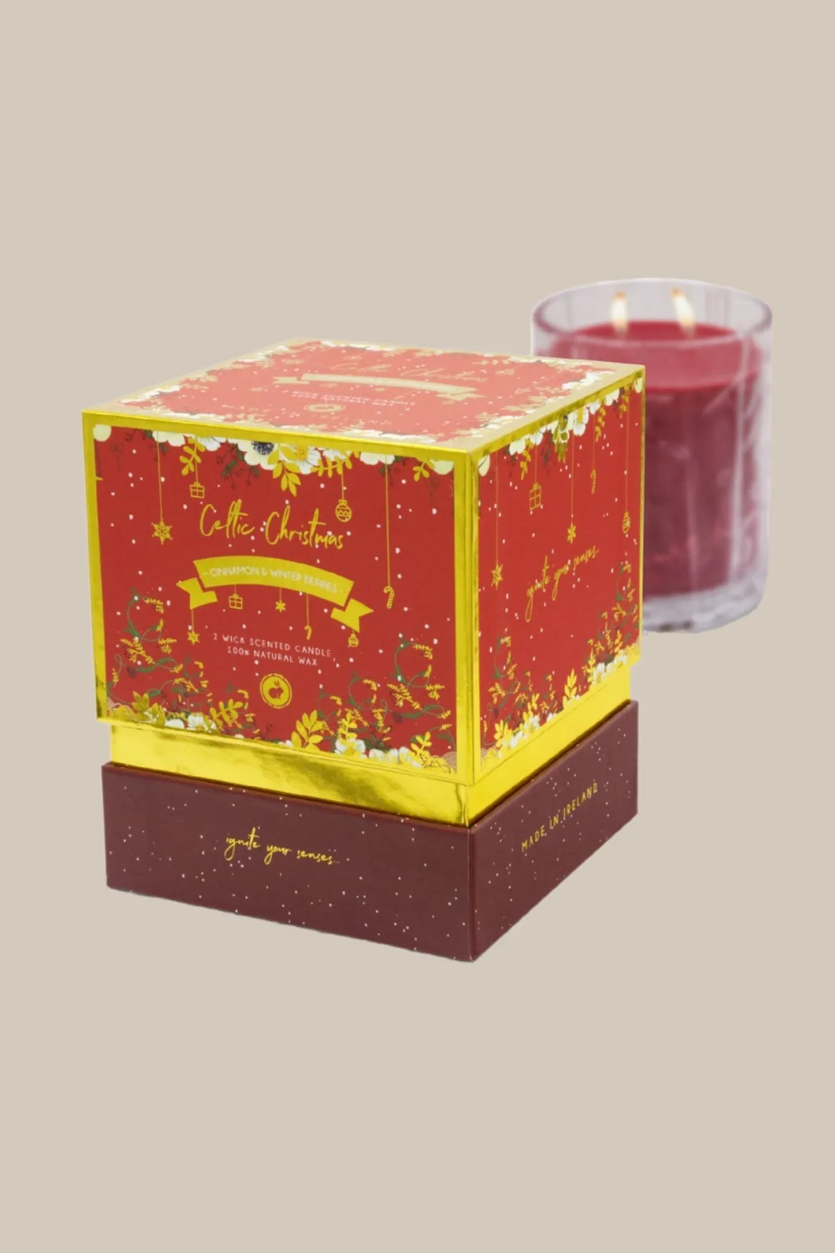 Cinnamon & Winter Berry Double Wick Candle