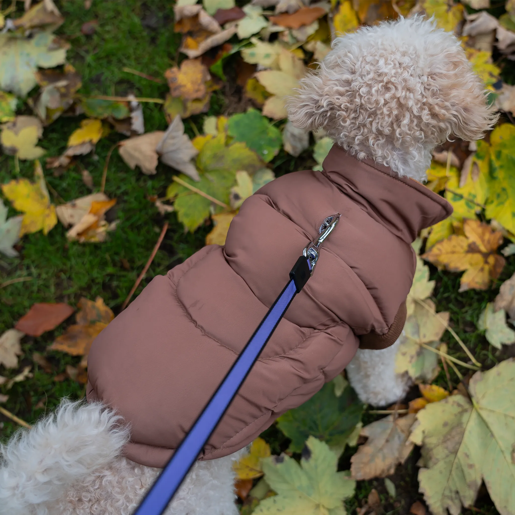 Dog Luxury Showerproof Puffer Jacket in Brown - S / M / L