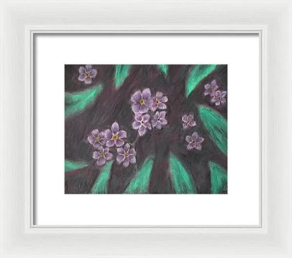 Forget Me Not - Framed Print