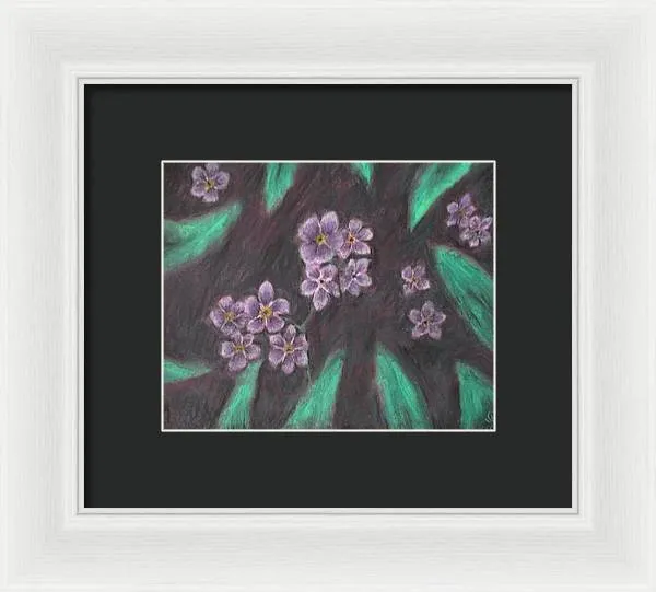 Forget Me Not - Framed Print