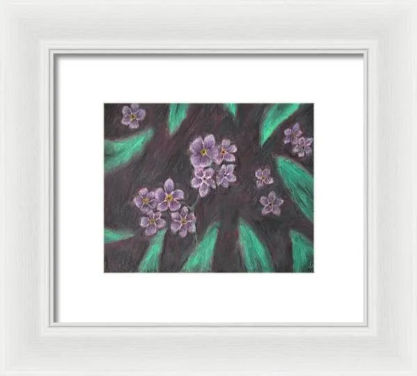 Forget Me Not - Framed Print