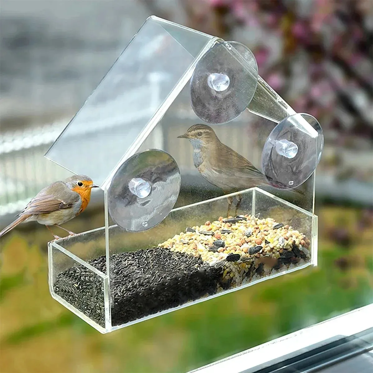 House Shape Bird Feeder