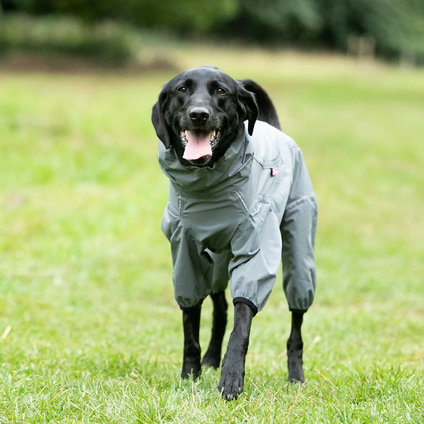 Hugo & Hudson Protective Dog Overalls