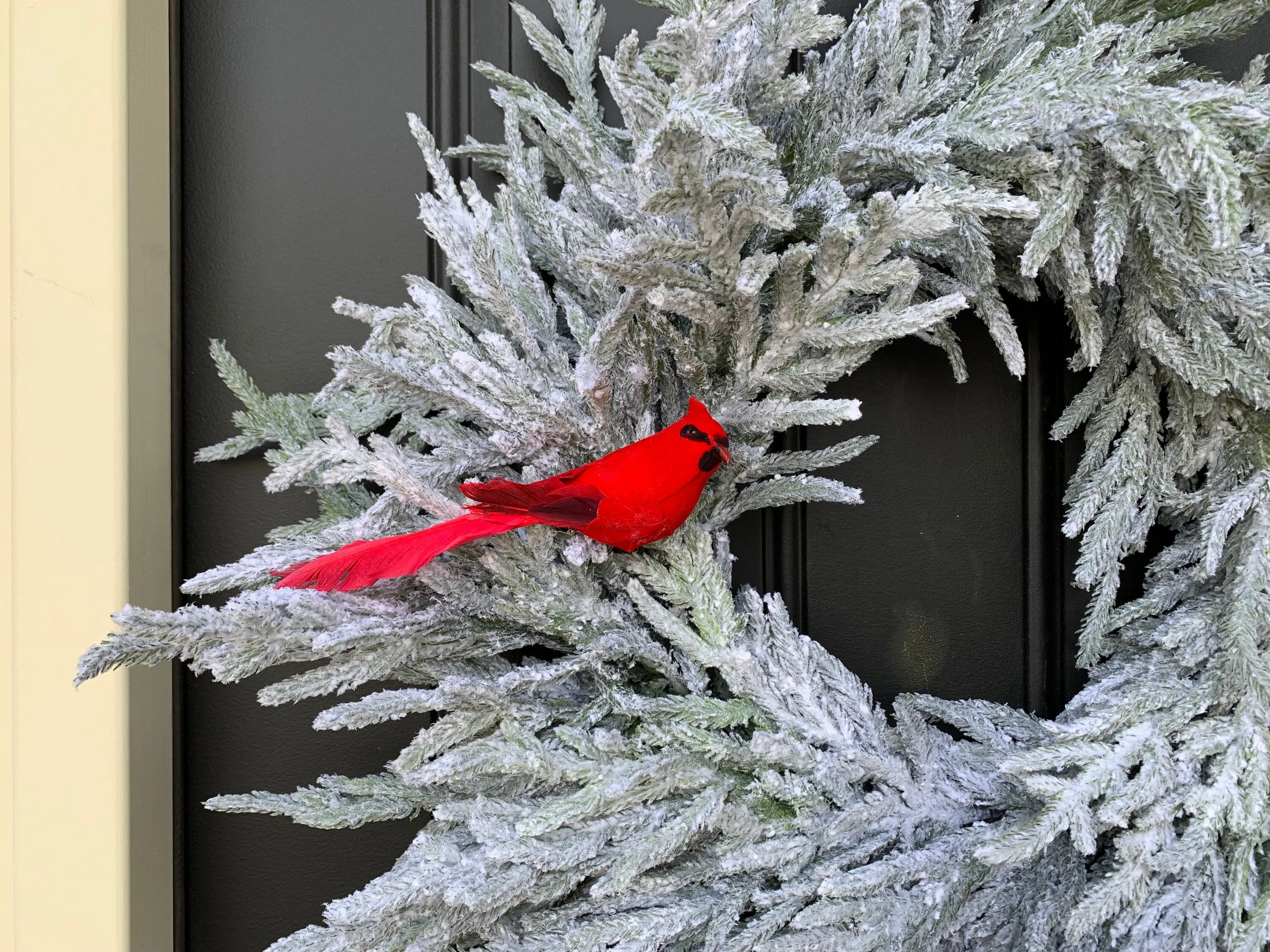 I'll Be Home for Christmas Flocked Norfolk Pine Wreath