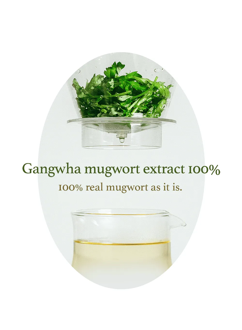 Mugwort Essence (160ml)