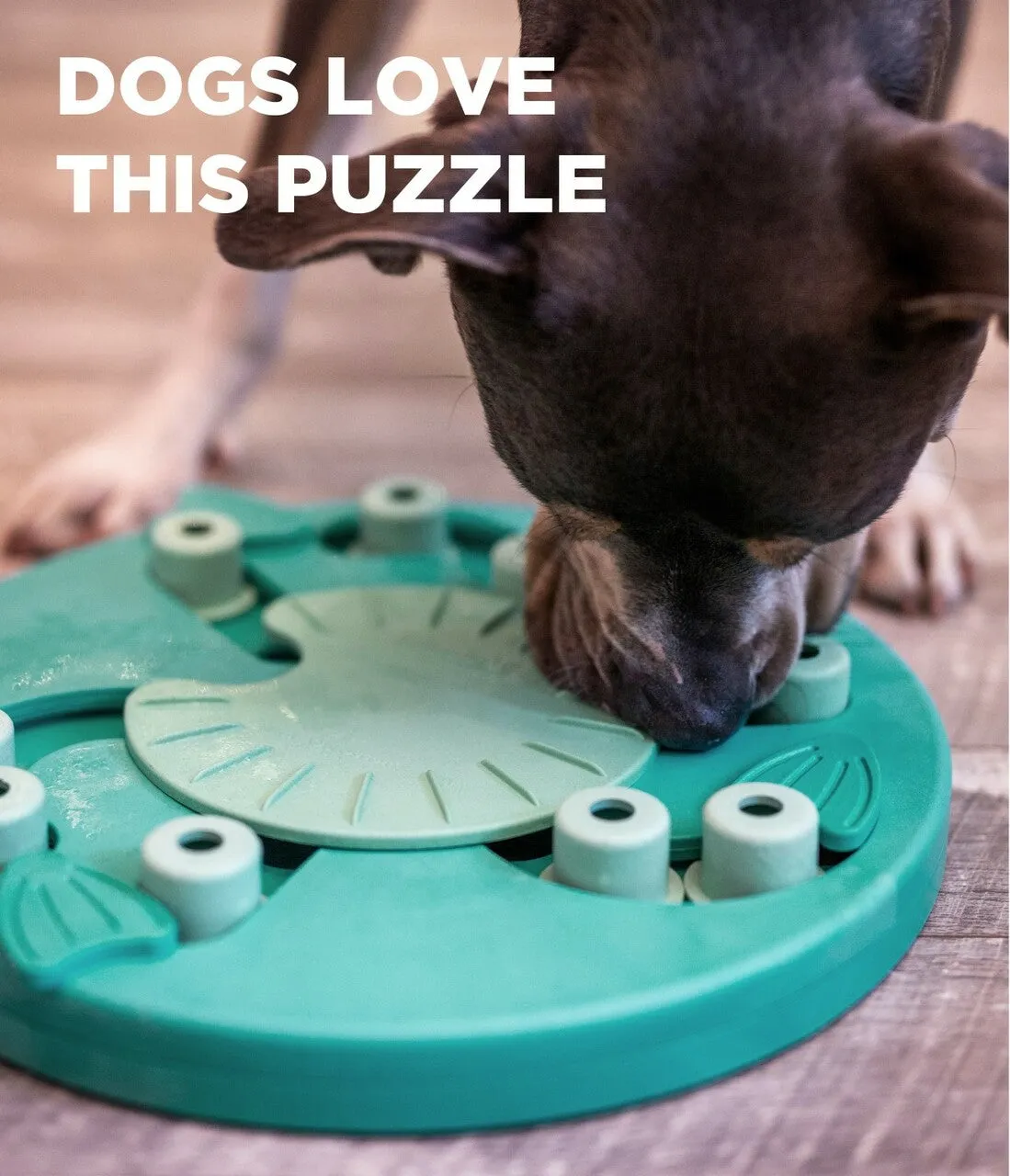 Outward Hound - Nina Ottosson Puzzle - Dog Worker