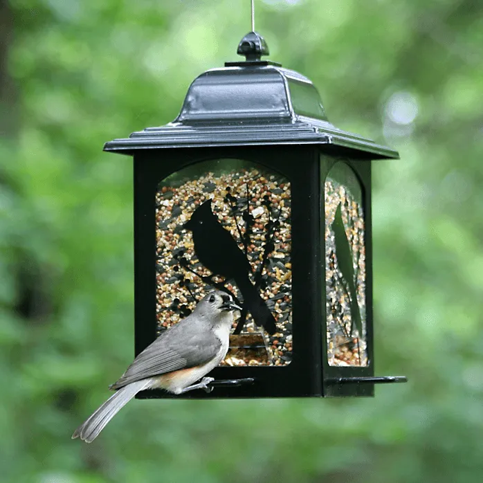 Perky Pet Lantern Bird Feeder - Birds & Berries