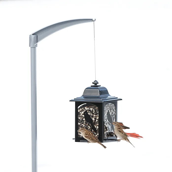 Perky Pet Lantern Bird Feeder - Birds & Berries