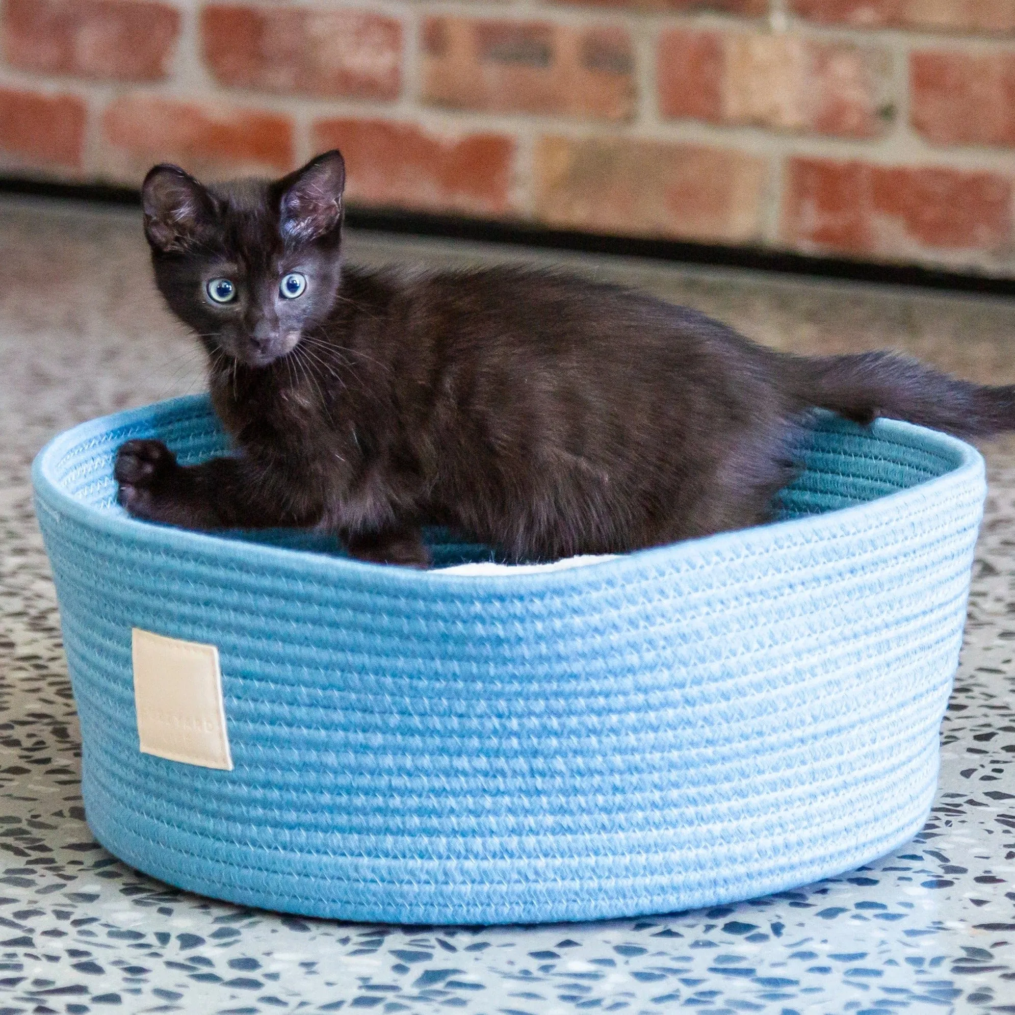 Pink Rope Puppy Basket with Reversible Cushion | Comfort & Style for New Arrivals