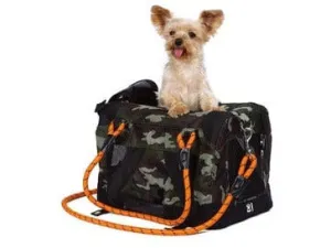 Remix Travel Carrier 2 In 1 With Leash/Shoulder Belt