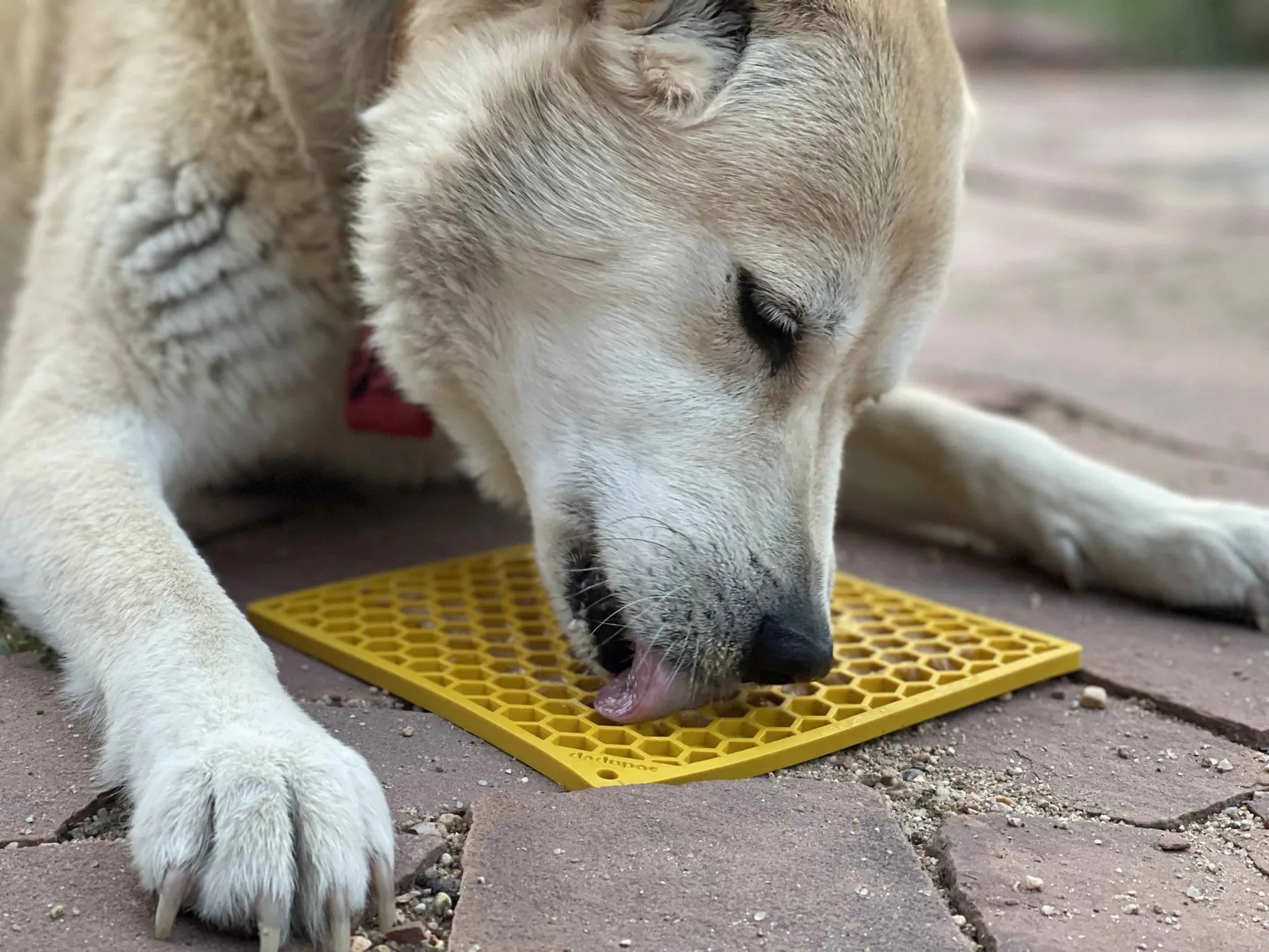 Sodapup EMAT Licking Enrichment Mat Honeycomb 2 Sizes